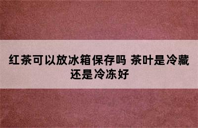 红茶可以放冰箱保存吗 茶叶是冷藏还是冷冻好